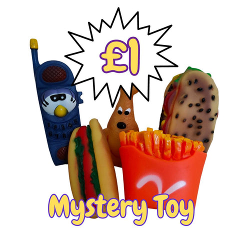 Random Mystery Squeaky Toy
