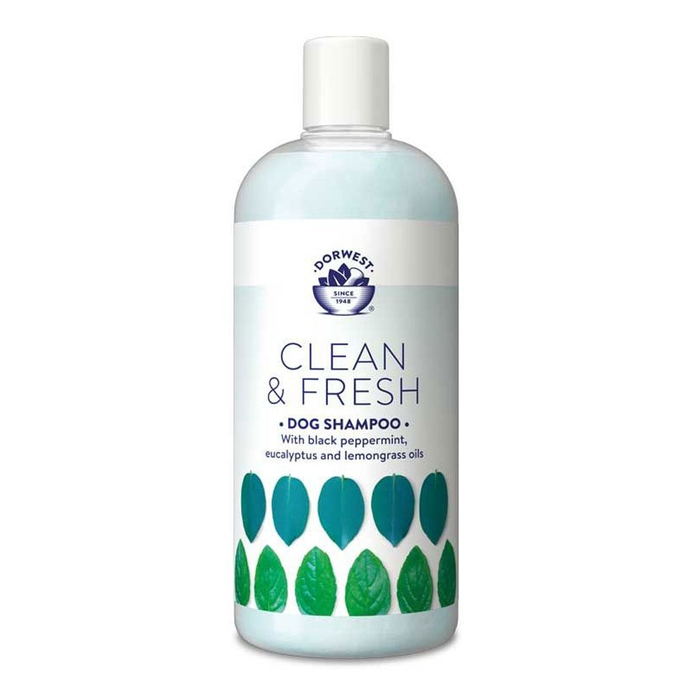 Clean & Fresh Shampoo